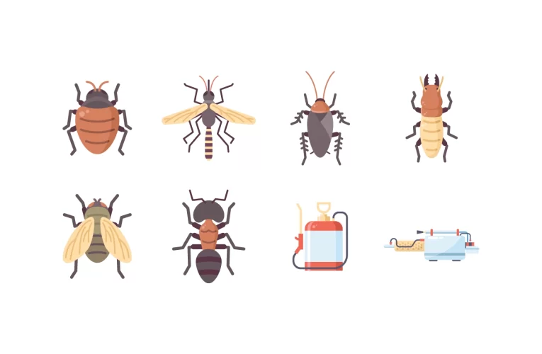 Know-How Pest Control Services Are Extremely Effective in Exterminating Pests