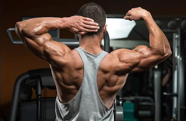 What Are The Common Tips That Will Help In The Improvement In The Muscle Growth?