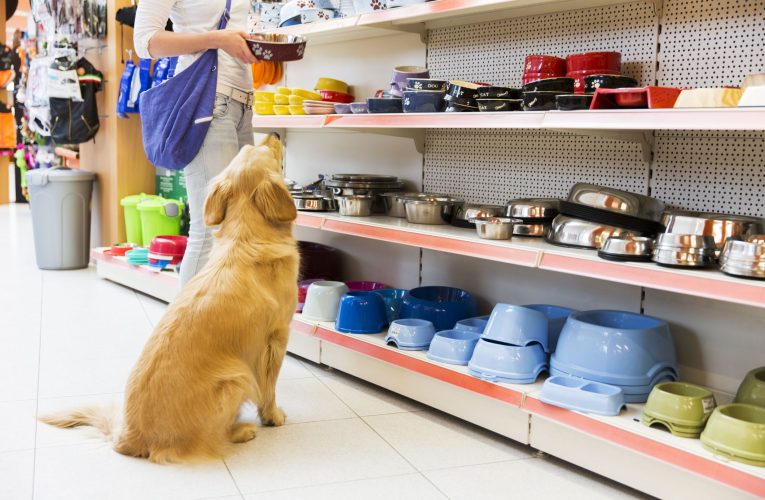 5 Pros & Cons Of Starting A Pet Store