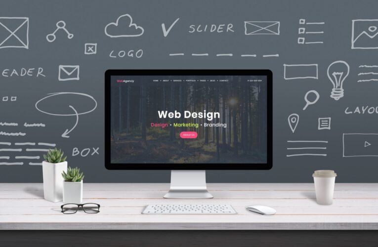 Choosing The Right CMS For Your Web Development Needs